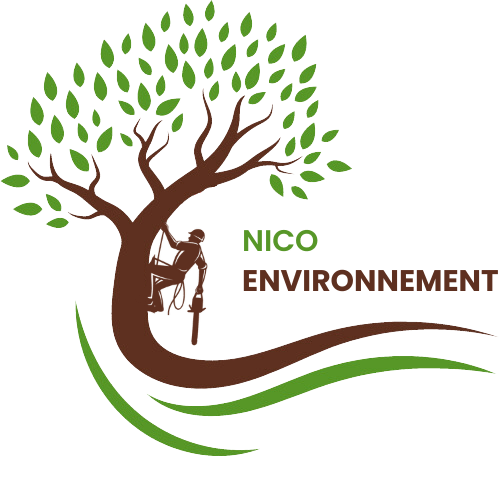 Nico environnement