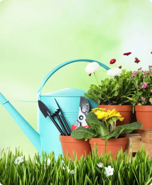 Paysagiste Ruffec melle sauzé vaussais